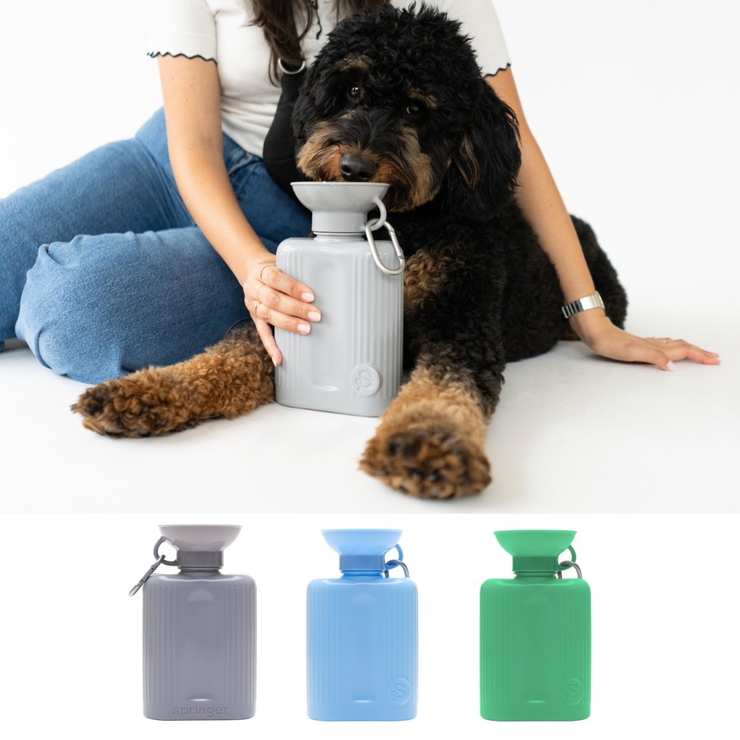 Dog Travel Water Bottle - 44oz Growler: 44 oz