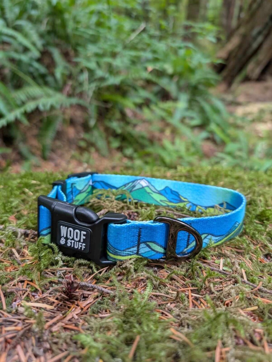 West Coast Collar: Small, 3/4 Inch